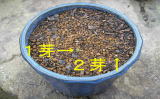 2008N0926PEQT_Ԃ̉